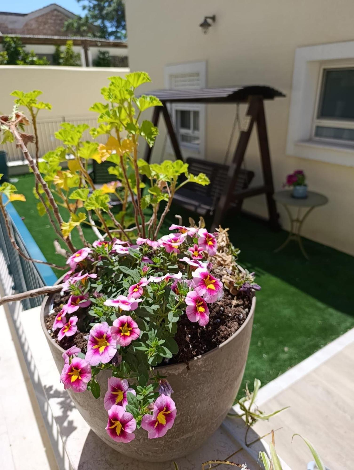 49 Boutique Villa Zichron Ja’akow Szoba fotó